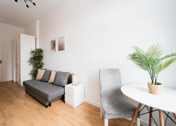 Big Old Town - 3 - 10 People - Swidnicka Street Apartment *